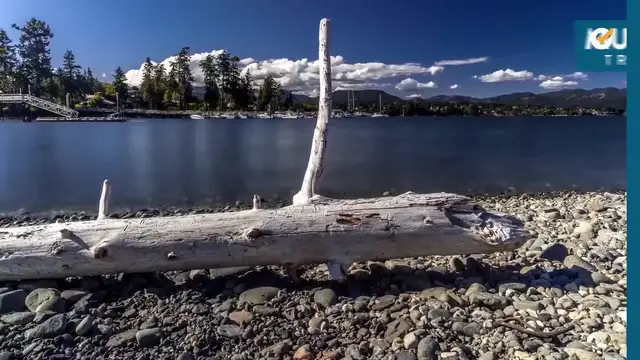 'Video thumbnail for Top Things To Do In Vancouver, Canada  '
