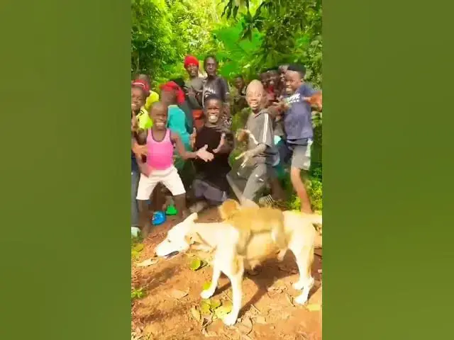 'Video thumbnail for #animals #dance #funny #africa #wildlife #viral #fypシ #challenge #reels'