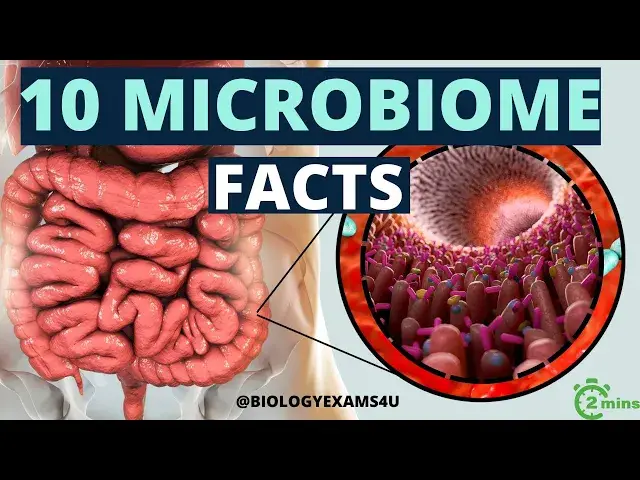 'Video thumbnail for What is Microbiome? 10 Facts About Microbiome in 2 Minutes'