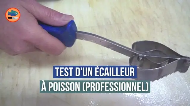 'Video thumbnail for L'écailleur à poisson (professionnel)'
