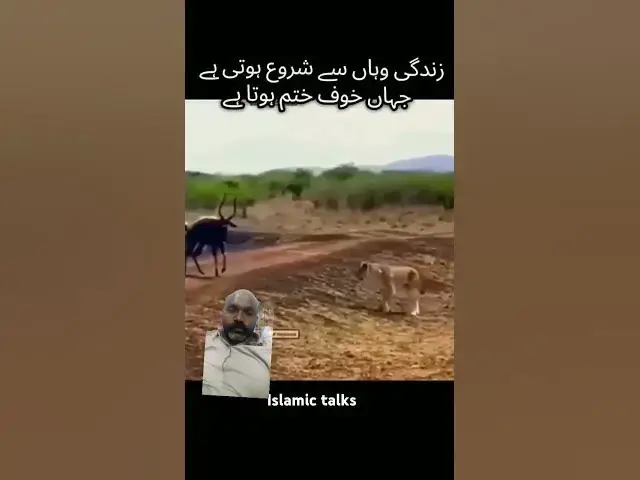 'Video thumbnail for Hasbi_Rabi_Jallallah..🪔🤲🎧_Relaxing_#duet #iloveprophetmuhammadﷺ #shortvideo #allah_"'
