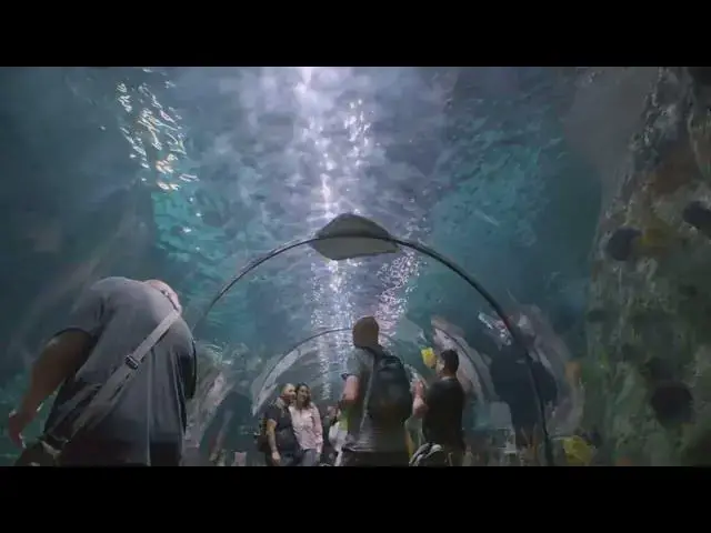 'Video thumbnail for Top 10 Things to Do in Dubai'