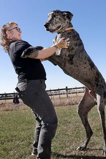 'Video thumbnail for Meet Reggie, the world's tallest dog'
