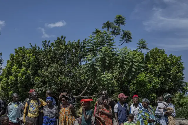 'Video thumbnail for DR Congo's tropical forests under threat: Illegal logging in UNESCO World Heritage site'