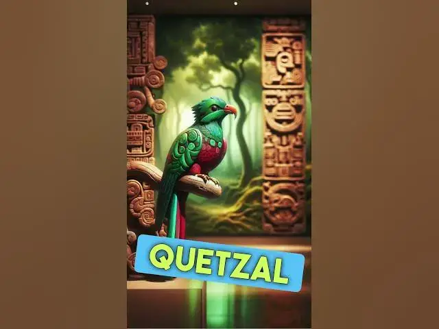 'Video thumbnail for "Misterios del Quetzal: El Ave Sagrada que Desafía el Tiempo" #quetzal #aves'