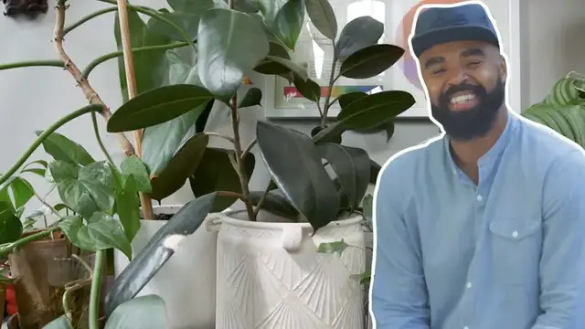 'Video thumbnail for Spring Cleaning With Your Plants | The Plant Doctor'