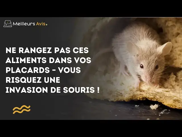 'Video thumbnail for Ne rangez pas ces aliments dans vos placards – vous risquez une invasion de souris !'