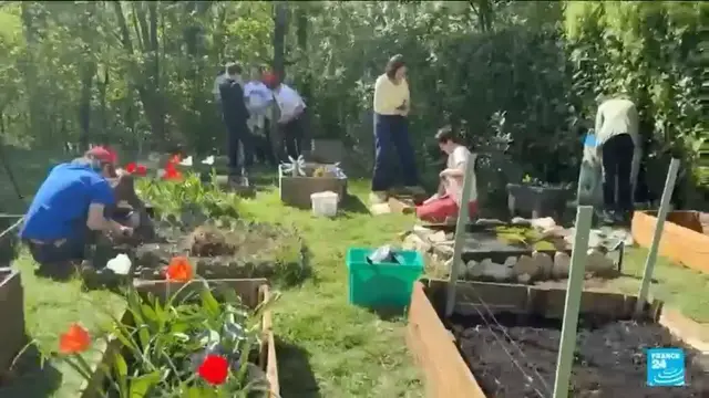 'Video thumbnail for A French school near Paris competes in the Vegetable garden World Cup'