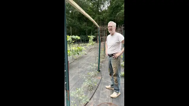 'Video thumbnail for Do-It-Yourself Tomato Trellis'
