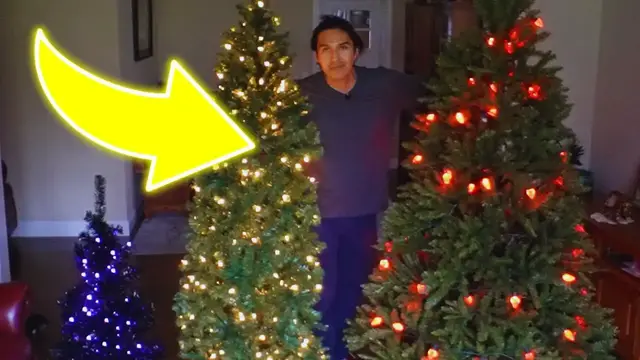 'Video thumbnail for I Tried 3 Highly Rated Christmas Trees | Which Is Better?'