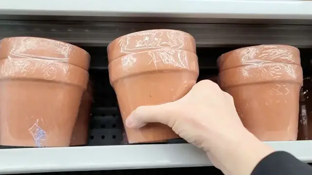 'Video thumbnail for Grab a Walmart mini pot for this BRILLIANT new front porch idea!'