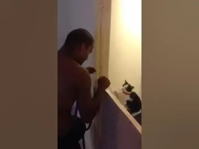 'Video thumbnail for Oreo vs Daddy'