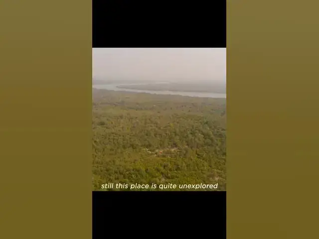 'Video thumbnail for সুন্দরবন বাংলাদেশের গর্ব।  #shorts #sundorban #naturelovers'