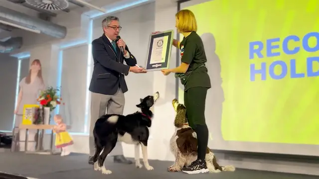 'Video thumbnail for Clever dogs perform footsie weaves to break record'