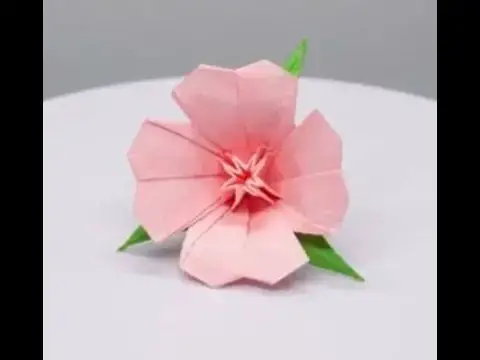 'Video thumbnail for How to Make Origami Flower 🌺'