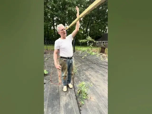 'Video thumbnail for Easy Do-It-Yourself Tomato Trellis'