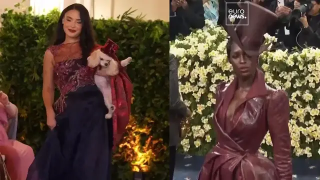 'Video thumbnail for Who Let the Dogs Serve? Glamorous canines dress to impress at New York's "Pet Gala"'
