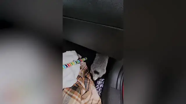 'Video thumbnail for Farmer Surprised With New 'Healer' Puppy After Losing Beloved Dog | Happily TV'