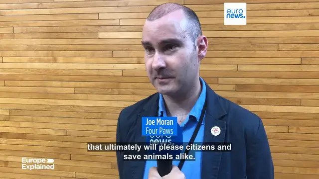 'Video thumbnail for European Parliament backs mandatory microchipping of all cats and dogs in the EU'