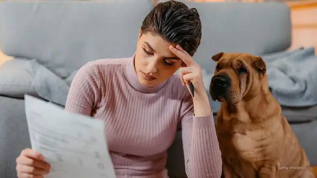 'Video thumbnail for Pet parents say vet treatments are too costly — and it's hurting their animals'