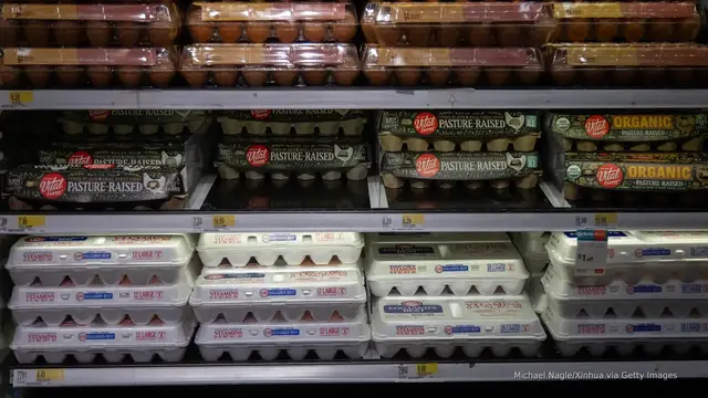 'Video thumbnail for US egg prices hit record-high despite White House optimism'