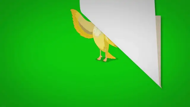 'Video thumbnail for All About the Cockatiel: The Gray Australian Parrot'