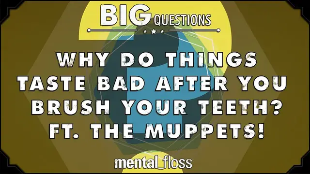 'Video thumbnail for Why do things taste bad after you brush your teeth? - feat. The Muppets! - Big Questions - (Ep. 30)'