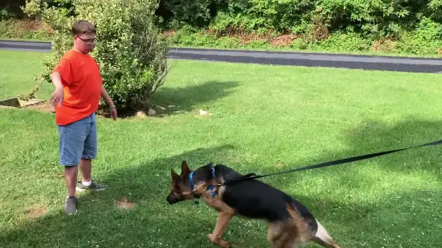 'Video thumbnail for Boy Reunited With Service Dog After Camp | Happily TV'
