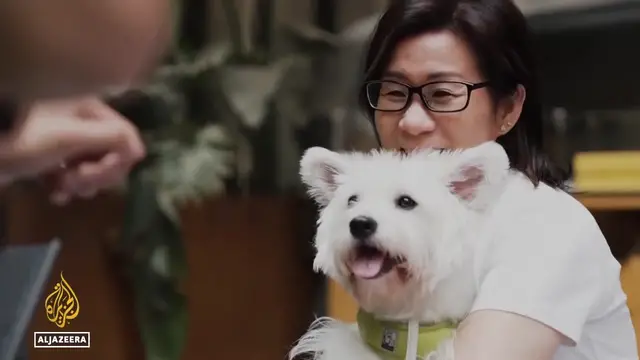 'Video thumbnail for China's booming pet industry: Pets are set to outnumber toddlers in just five years'