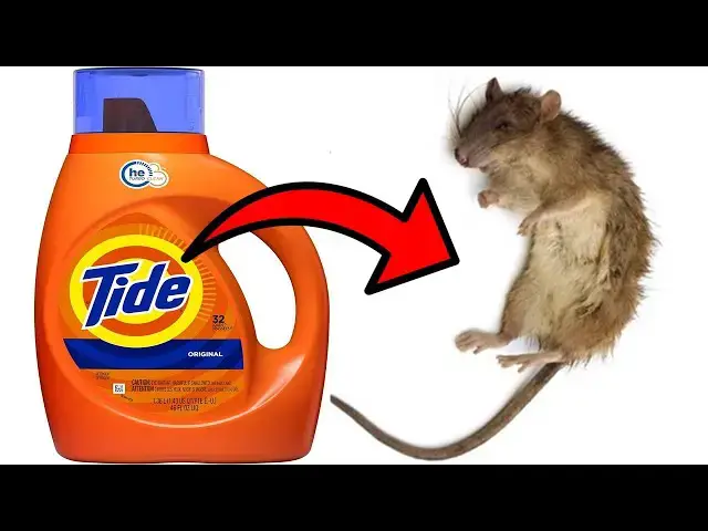 'Video thumbnail for No More Mice & Rats! This Simple Laundry Detergent Solution Works'