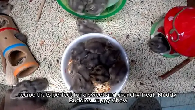 'Video thumbnail for Muddy buddy recipe'