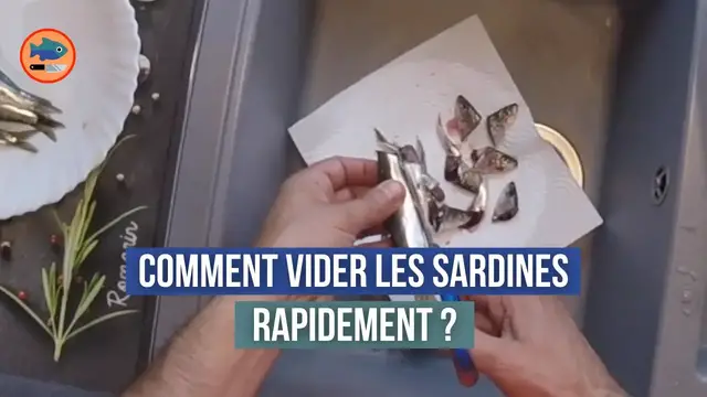'Video thumbnail for Comment vider les sardines en moins de 3 secondes ? (et sans ruiner sa cuisine)'