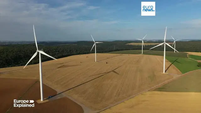 'Video thumbnail for Europe's Green parties are looking for a new lease of life'