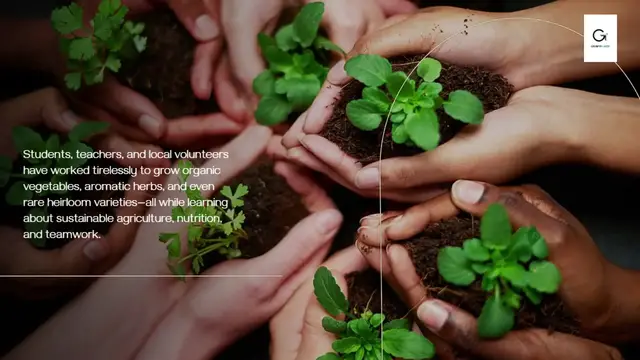 'Video thumbnail for A French school near Paris competes in the Vegetable garden World Cup'