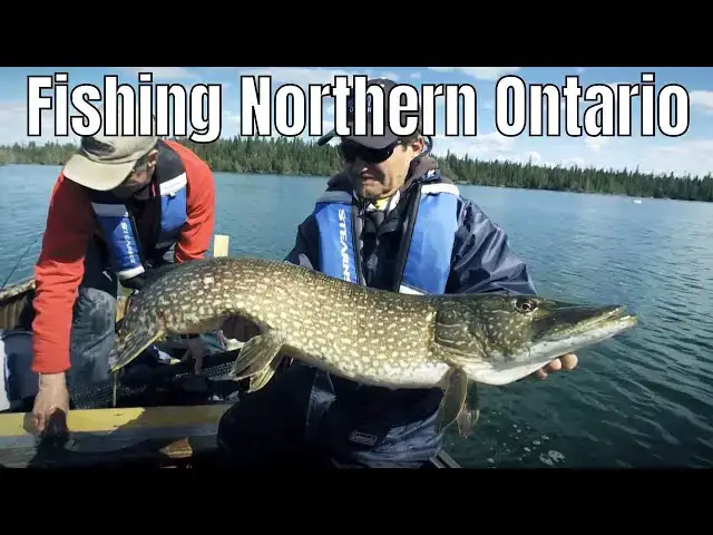 'Video thumbnail for Fishing Northern Ontario For Speckled Trout, Walleye and Pike | Fish'n Canada'