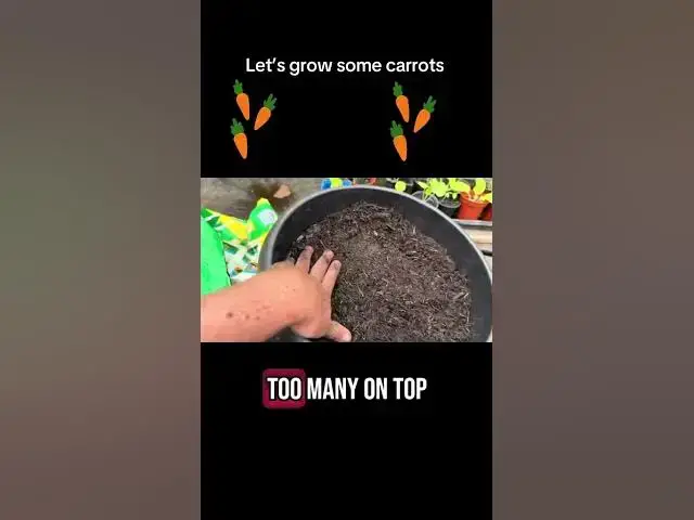 'Video thumbnail for 🥕 Let’s Grow Some Carrots! Easy Step-by-Step Guide for Beginners 🌱'
