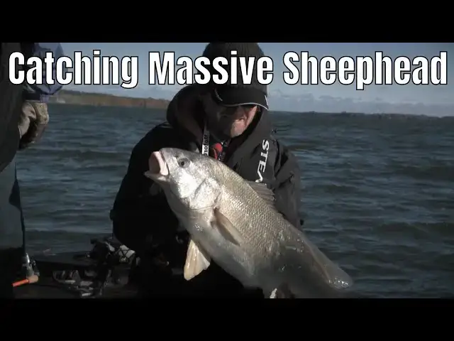 'Video thumbnail for Catching Massive Sheephead in Eastern Ontario | Fish'n Canada'