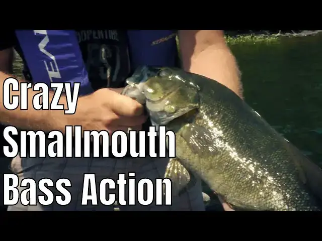 'Video thumbnail for ATVing for Crazy Smallmouth Bass Action | Fish'n Canada'