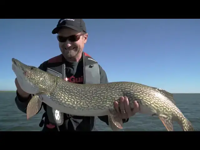 'Video thumbnail for How to Catch Big Pike that Short-Strike Swimbaits | Fish'n Canada'