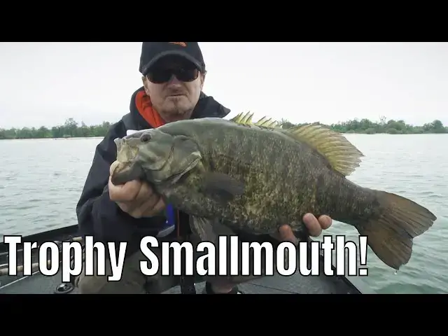 'Video thumbnail for Trophy Smallmouth Bass from Duck Islands Ontario Canada | Fish'n Canada'