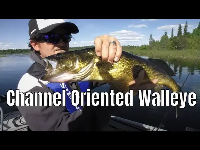 'Video thumbnail for Channel Oriented Walleye | Fish'n Canada'