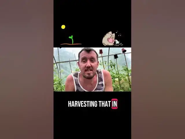 'Video thumbnail for 🌱 Can You Still Sow Vegetables in June? | What You Can Plant Right Now 🥕🥬'