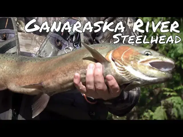 'Video thumbnail for Fishing Ganaraska River for Steelhead | Fish'n Canada'