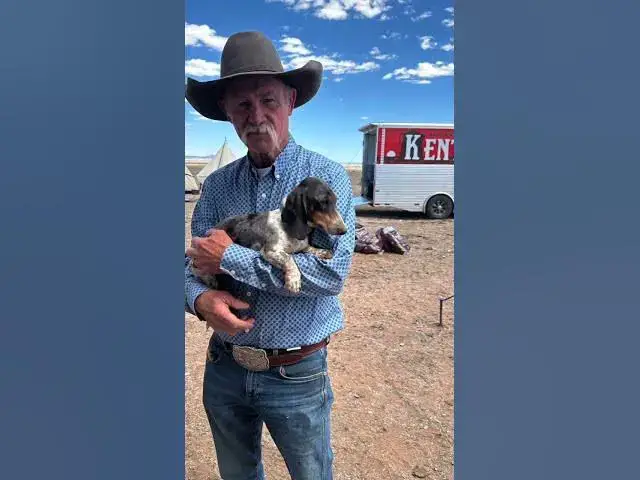 'Video thumbnail for Cooking for Cowboys! 🍳'