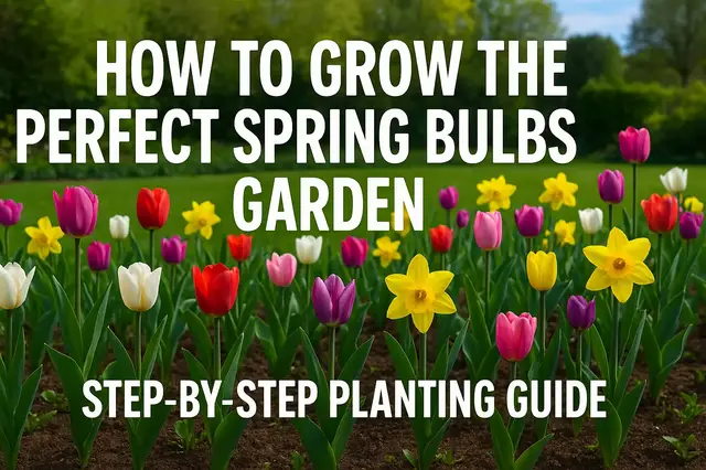 'Video thumbnail for How to Grow the Perfect Spring Bulbs Garden | Step-by-Step Planting Guide'