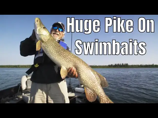 'Video thumbnail for Huge Pike On Swimbaits | Fish'n Canada'
