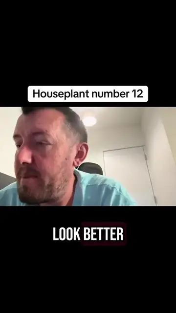 'Video thumbnail for 🪴 Houseplant Number 12 Revealed! A Striking Statement Plant for Your Indoor Jungle 🌿'