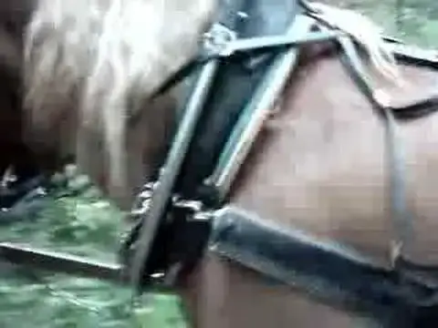 'Video thumbnail for RESPIRO-TE'