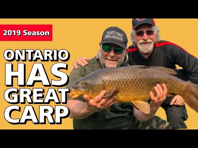 'Video thumbnail for Ontario Has Great Carp Fishing'