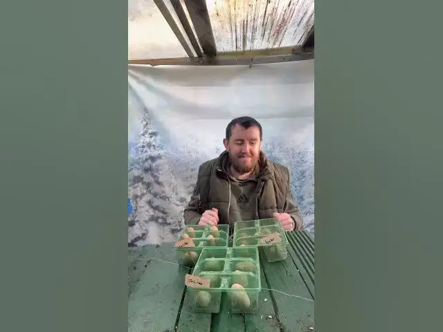 'Video thumbnail for How to chit potatoes 🥔 #chitting #pototo'